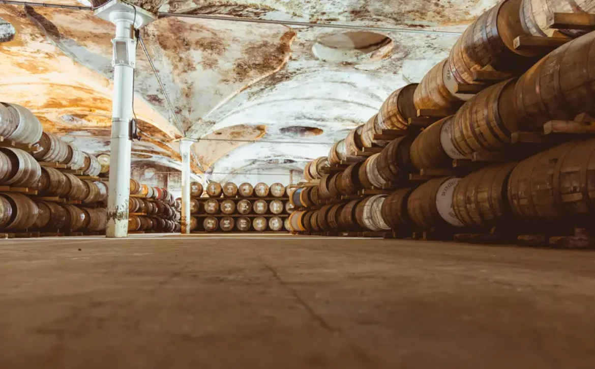 Old vintage whisky barrels filled of whiskey placed in order in